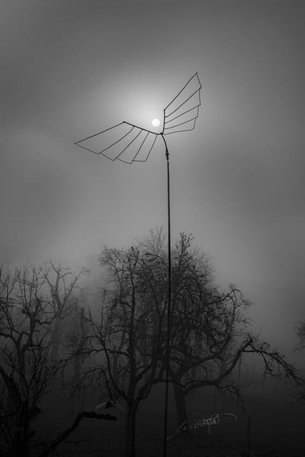 Nebelengel — Bild von Michael Willfort