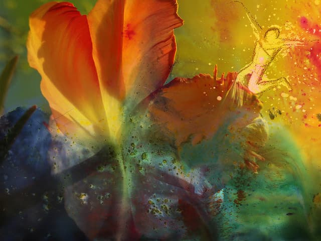 Blumen Sprung — Bild von Michael Willfort