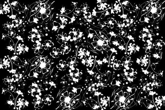 Blumen-Motiv-SW2 — Bild von Michael Willfort