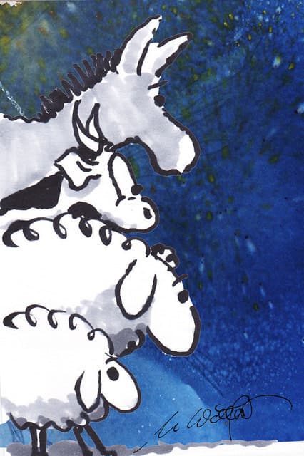 Kommen, sehen und staunen — Bild von Michael Willfort