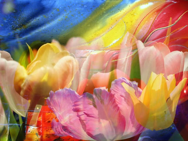Flower flow — Bild von Michael Willfort