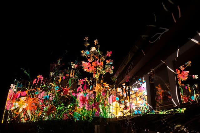 Bunter Abend 19 — Bild von Michael Willfort