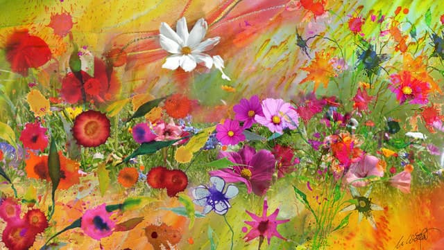 Sommerblumen V01a — Bild von Michael Willfort