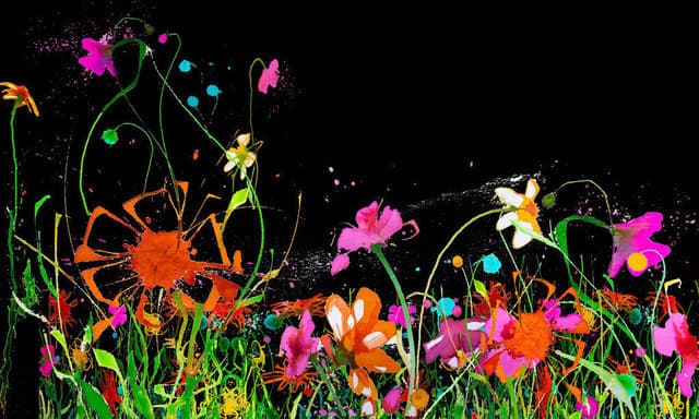 Blumen-Motiv-4 — Bild von Michael Willfort