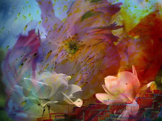 Blumen Welt — Bild von Michael Willfort