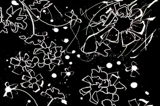 Blumen-Motiv-SW4 — Bild von Michael Willfort