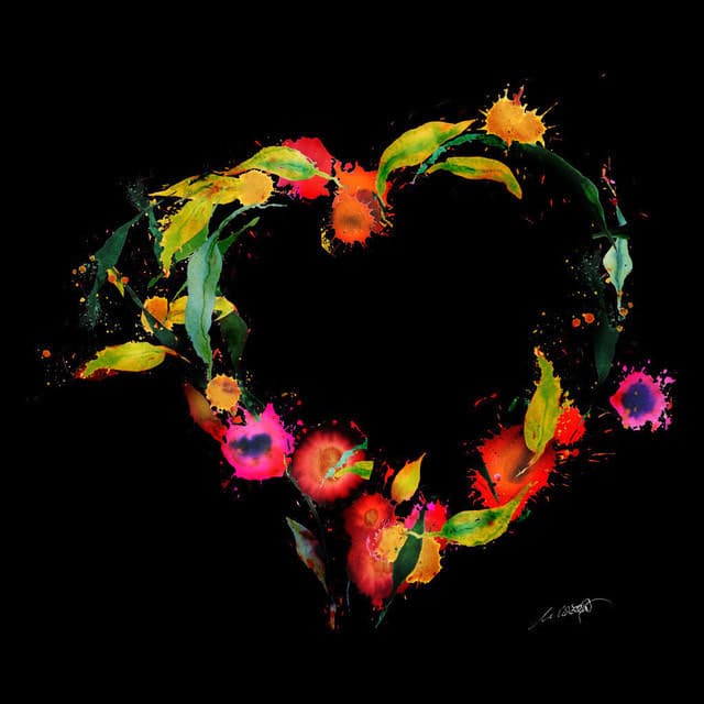 Blumenherz schwarz — Bild von Michael Willfort