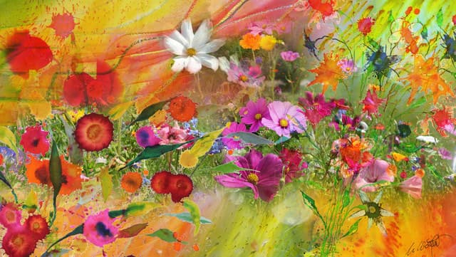 Sommerblumen_1 — Bild von Michael Willfort