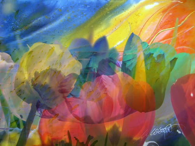 Im Fluss der Blumen — Bild von Michael Willfort