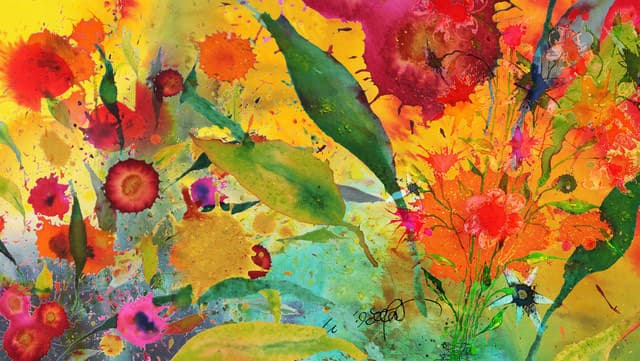 Sommerblumen_4 — Bild von Michael Willfort