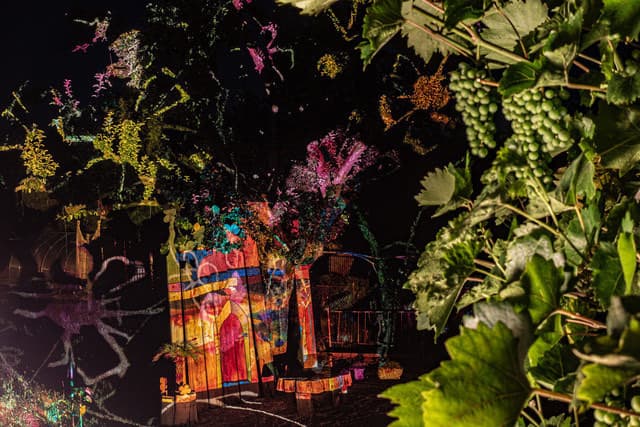 Bunter Abend 7 — Bild von Michael Willfort