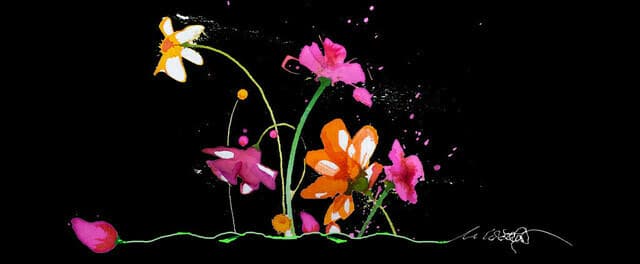 Blümchen om black — Bild von Michael Willfort
