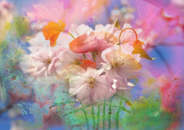 Blüten des Jahres — Bild von Michael Willfort