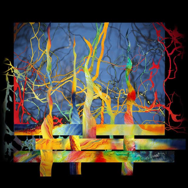 Farben des Lebens V05 — Bild von Michael Willfort